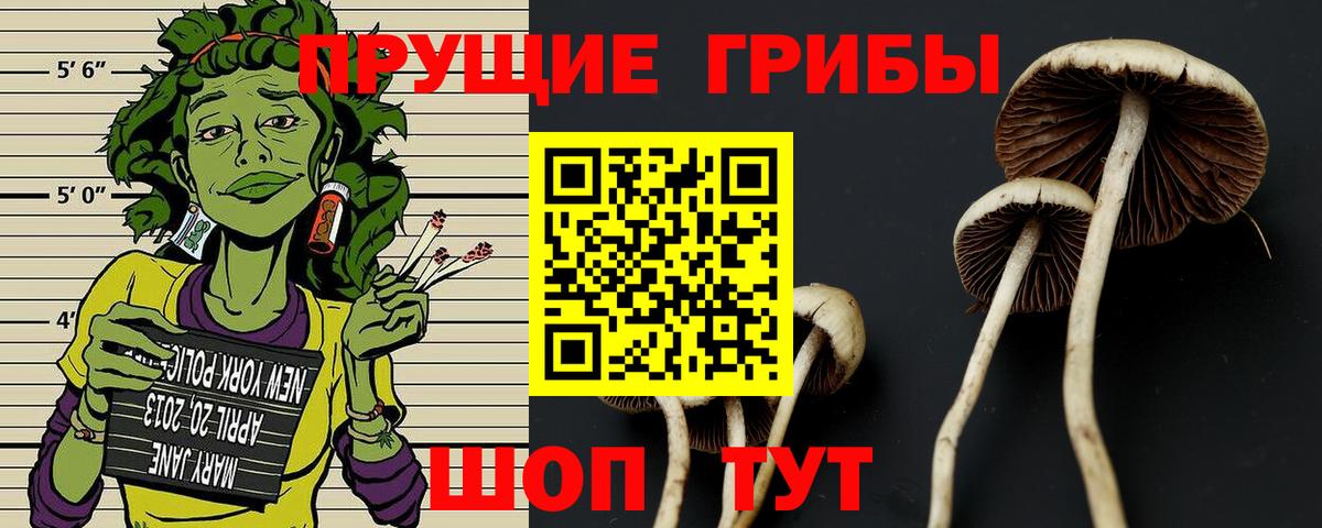 Обнинск  магазин продажи наркотиков  Галлюциногенные грибы прущие грибы  Вход с VPN  Галлюциногенные грибы мухоморы 